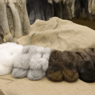 raw fur slides